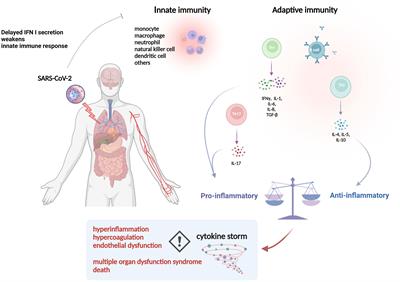 Effect of extracorporeal hemoadsorption in critically ill patients with COVID-19: A narrative review